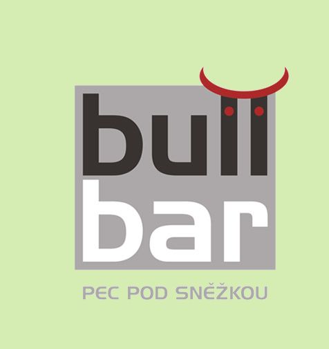 bull bar
